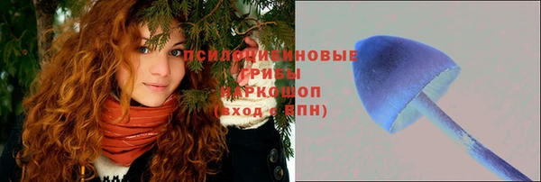 гашик Алзамай