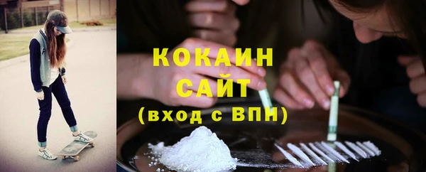 кокс Алексин