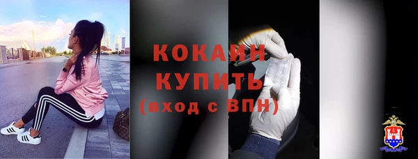 кокс Алексин