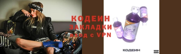 гашик Алзамай