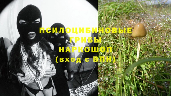гашик Алзамай